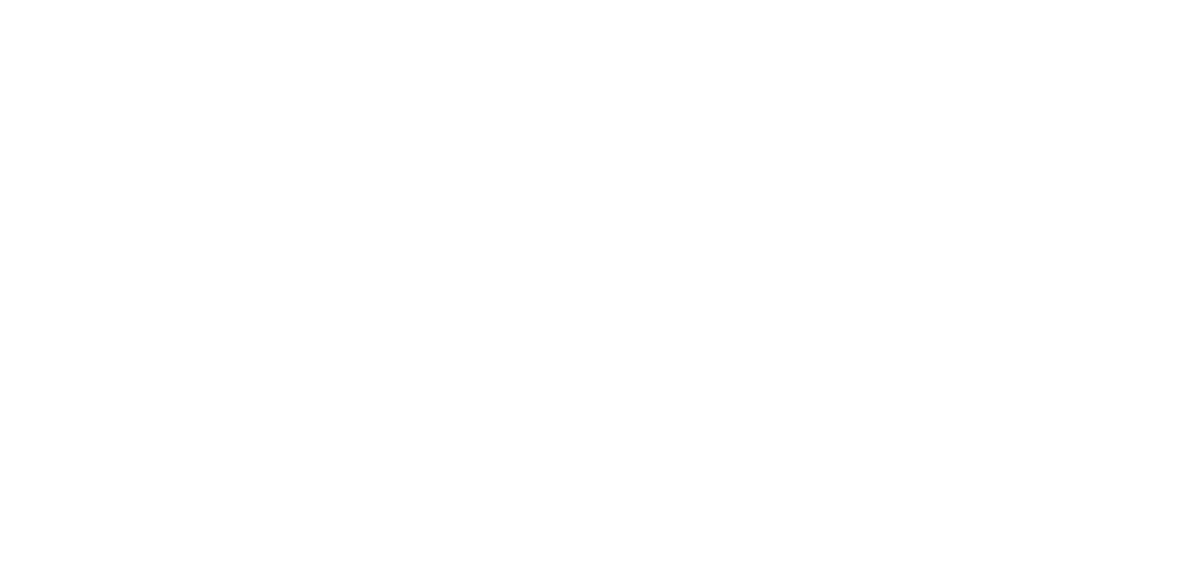 VJR Transporte Executivo